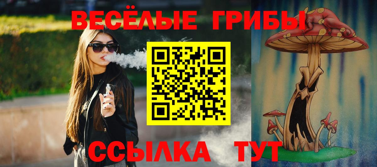 Псилоцибиновые грибы Magic Shrooms  Вход с VPN  Петропавловск-Камчатский 
